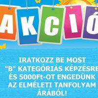 Kiskunhalasi kirendeltség Akció